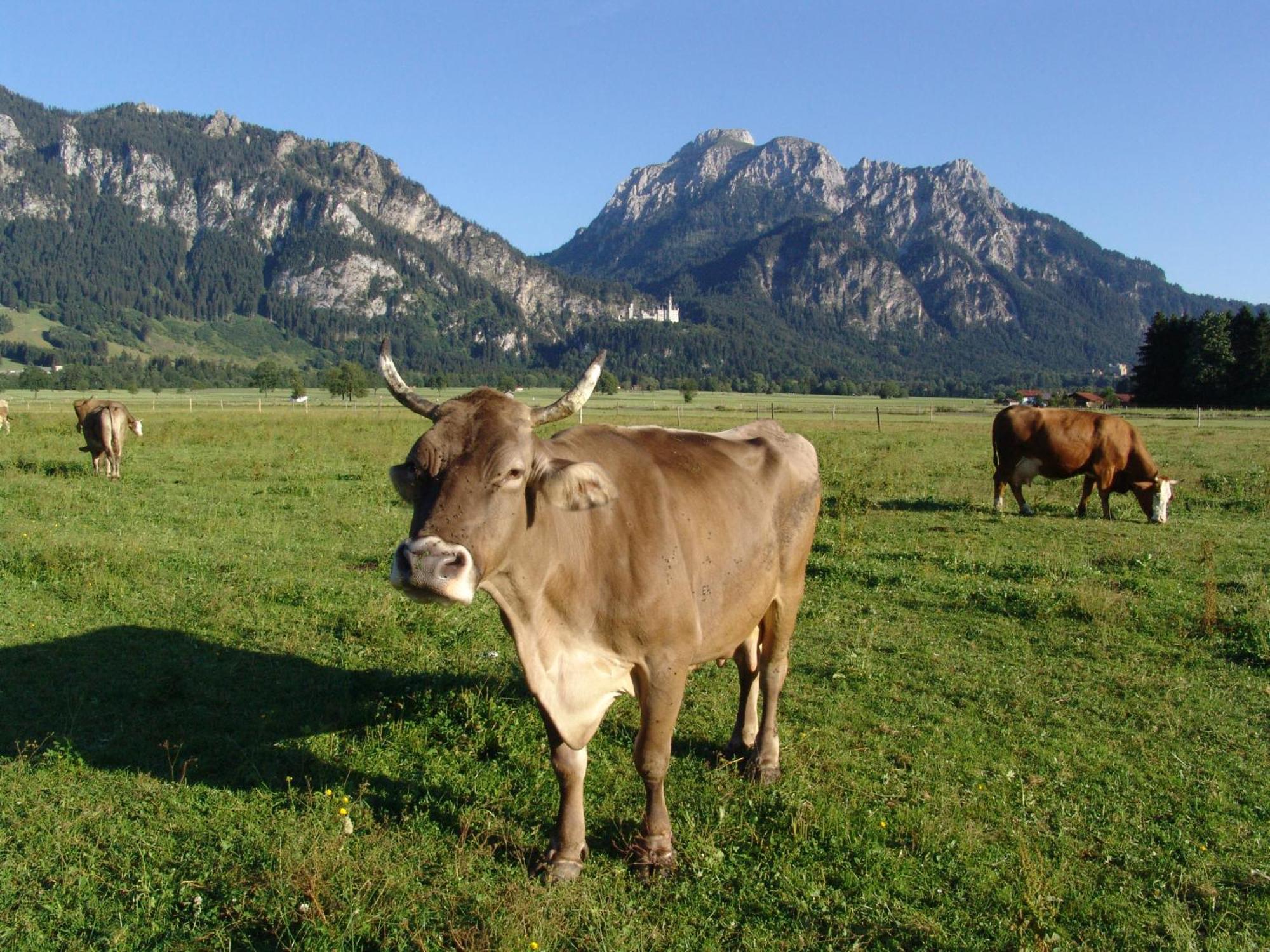 Hintere Schoene Rieden Exterior foto